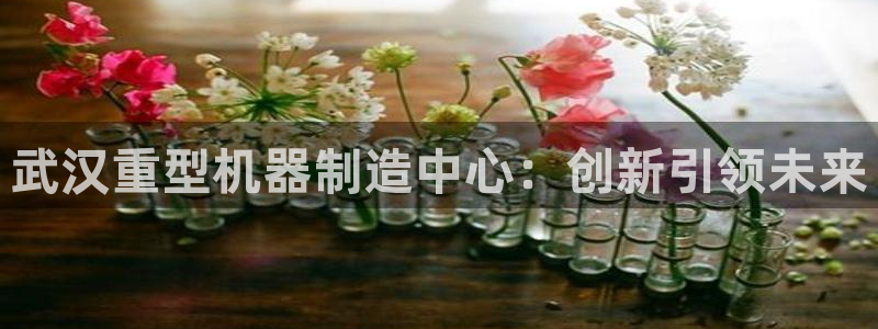 龍八國際app下載安卓