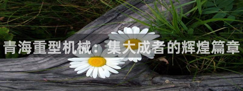 龍八國際游戲娛樂