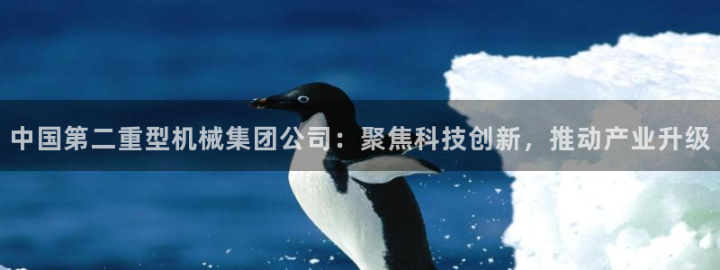 龍八國際網(wǎng)