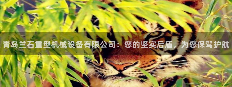 龍八國(guó)際手機(jī)版下載安卓