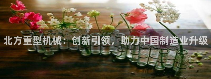 龍八國際在哪里啊