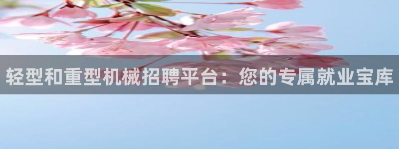 龍八國際娛樂手機(jī)登錄