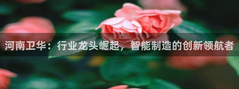 龍八國際娛樂場