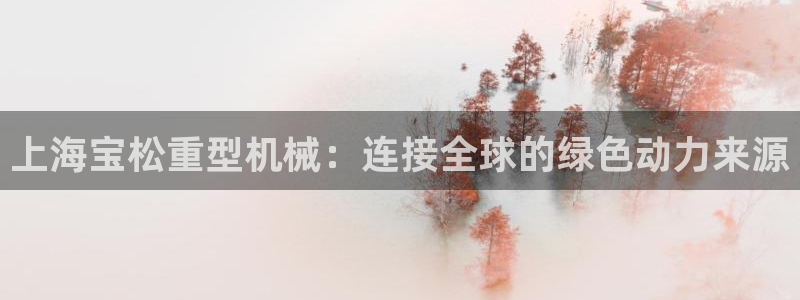 龍八國際可靠
