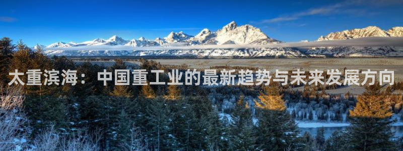 龍八國(guó)際有限責(zé)任公司