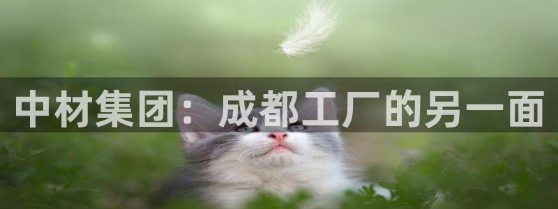 龍八國(guó)際手機(jī)客戶端下載