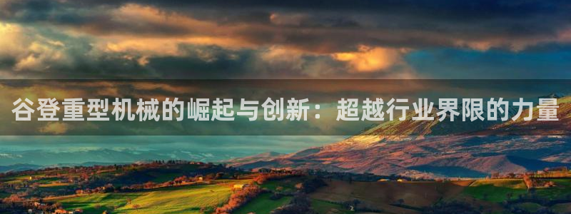 龍八國際軟件下載