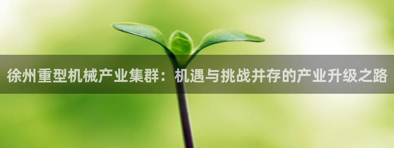 龍八國際娛樂pt老虎機
