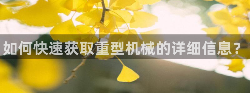 龍八國(guó)際客戶端下載