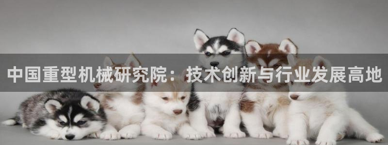 龍八國際手機登錄