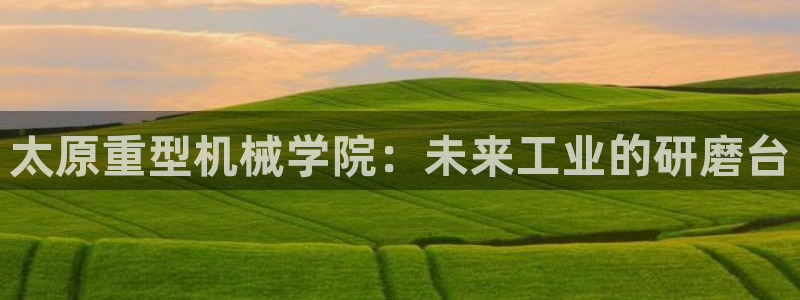 龍八國際合法