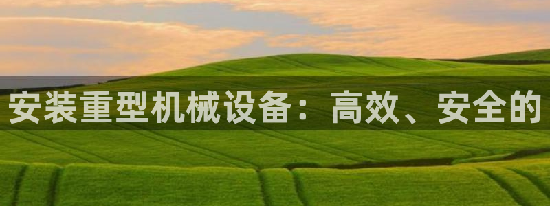 龍八國際鏈接