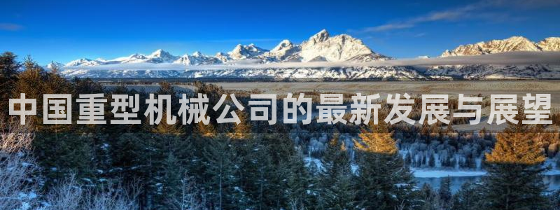 龍八國際娛樂網(wǎng)站多少