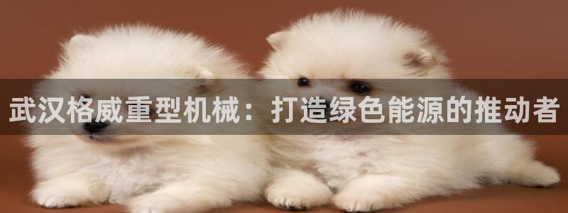 龍八國際b48點tv