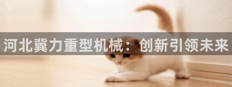 龍八國際娛樂預約