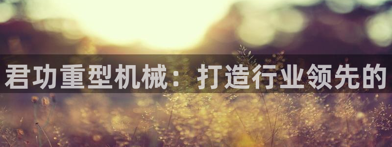 龍八國際手游