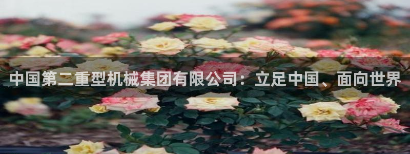 龍八國(guó)際網(wǎng)頁(yè)