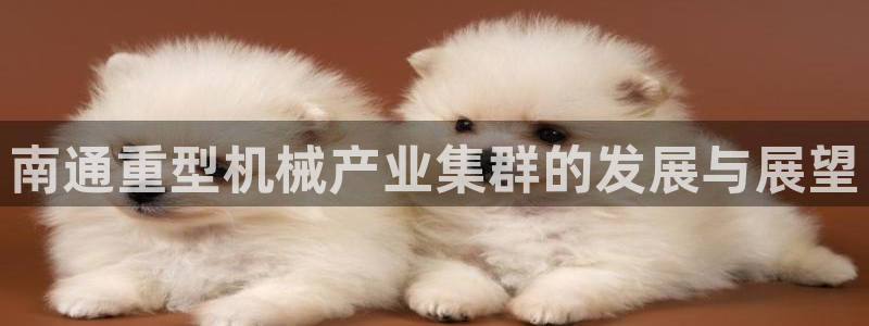 龍八國際手機(jī)下載地址