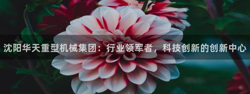 龍八國(guó)際股票