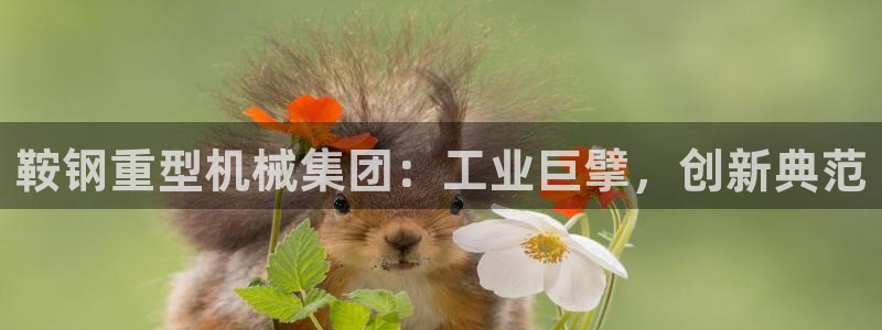 龍八國際有限責(zé)任公司