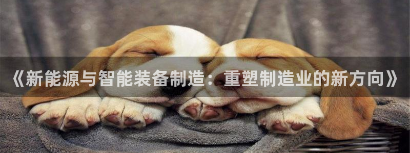 龍八國(guó)際娛樂(lè)官網(wǎng)多少