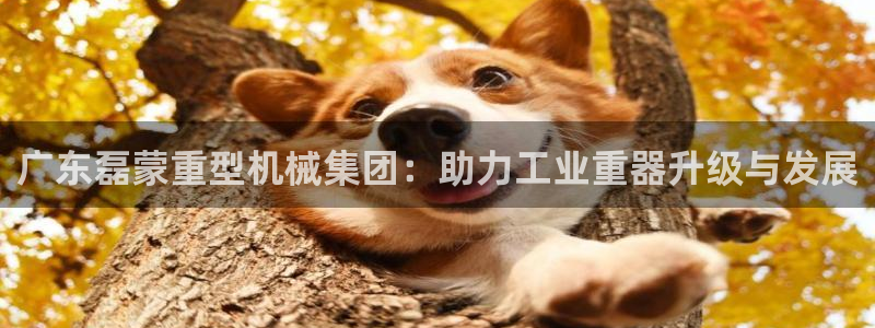 龍八國(guó)際pT娛樂(lè)官網(wǎng)