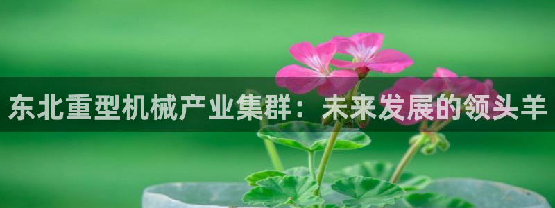 龍八國際娛樂實(shí)力如何