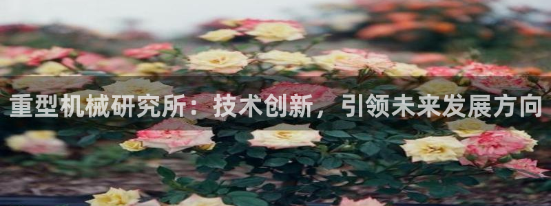 龍八國際服官網(wǎng)入口地址
