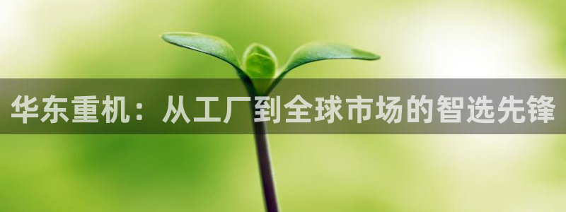 龍八國際APP客戶