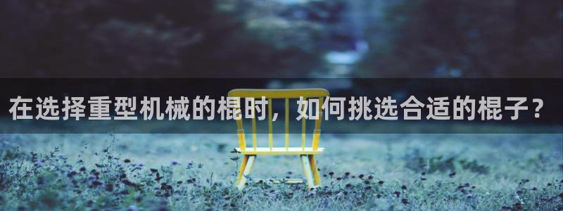 龍八國(guó)際不管嗎