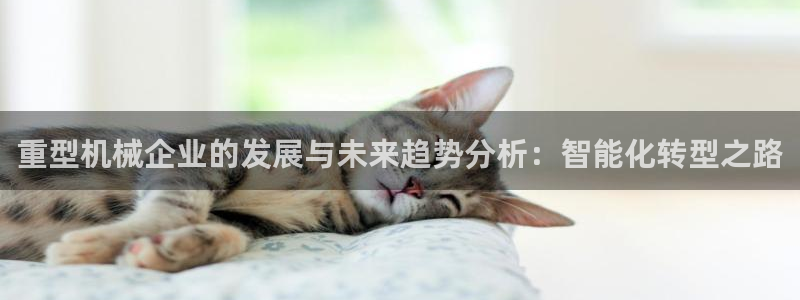 龍八國際游樂城