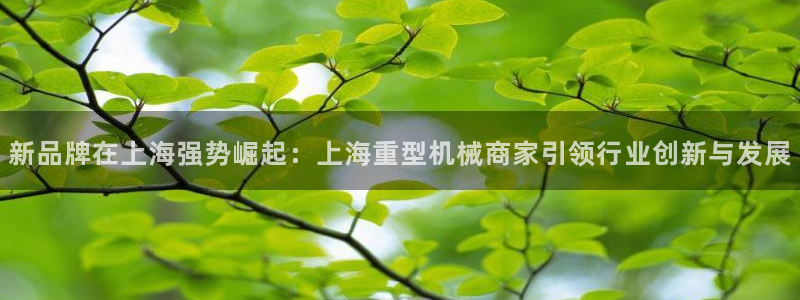 龍八國際平臺下載