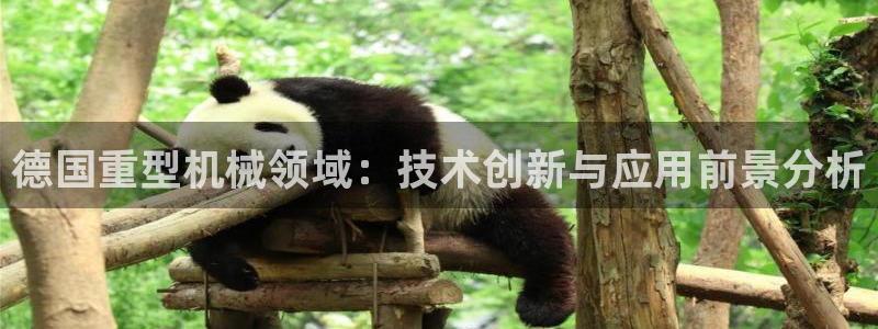 龍八國(guó)際有沒有假