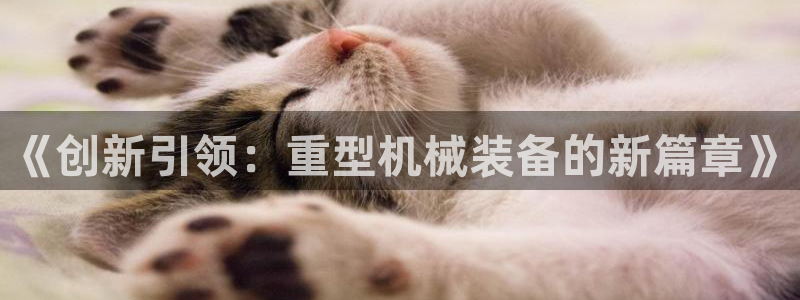 龍八國際pT娛樂官網(wǎng)