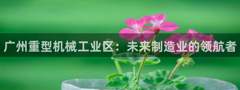 龍八國際網(wǎng)站手機(jī)版