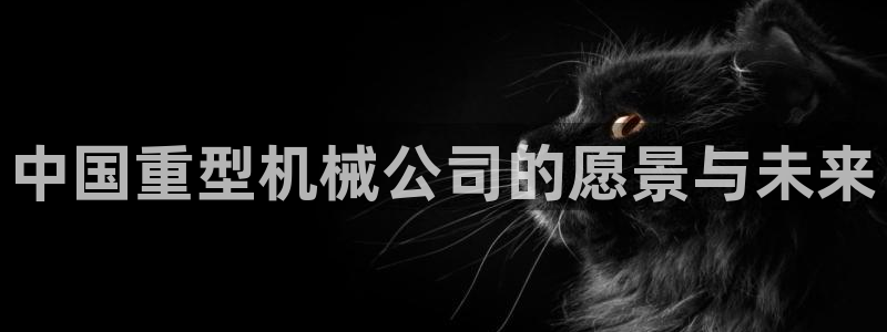 龍八國(guó)際apPP