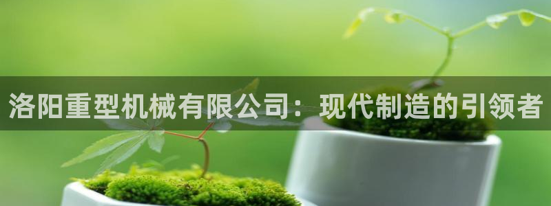 龍八國際手游