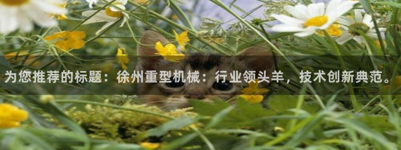 龍八國際網(wǎng)頁long8868