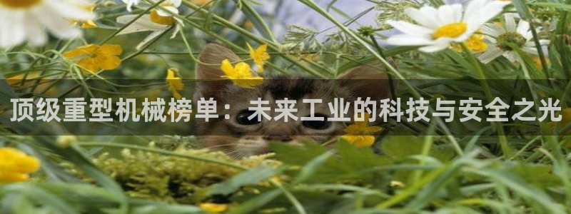 龍八國(guó)際服