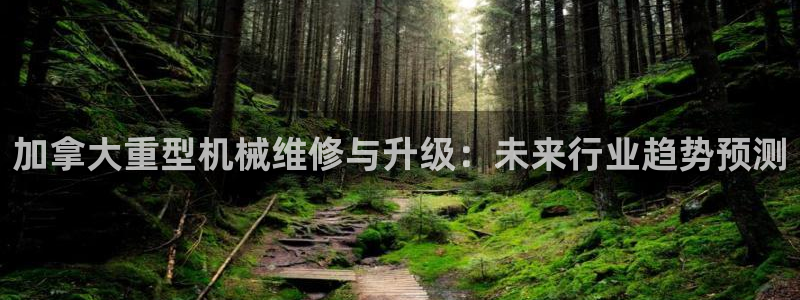 龍八國(guó)際手機(jī)版