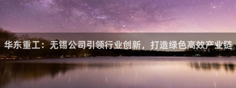 龍八國際娯樂城軟件下載