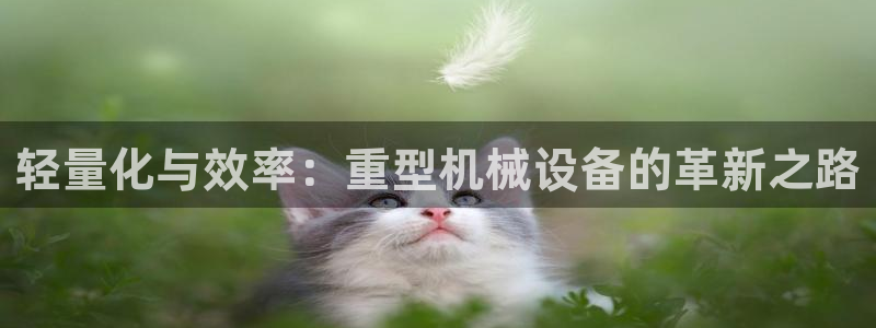 菲律賓的龍八國(guó)際輸錢
