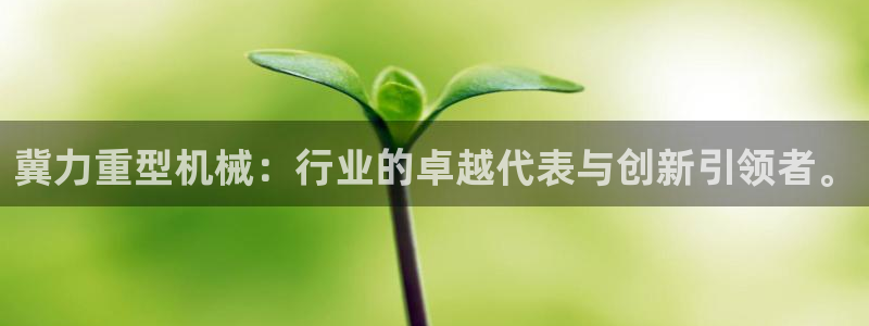 龍八國際跑路了嗎