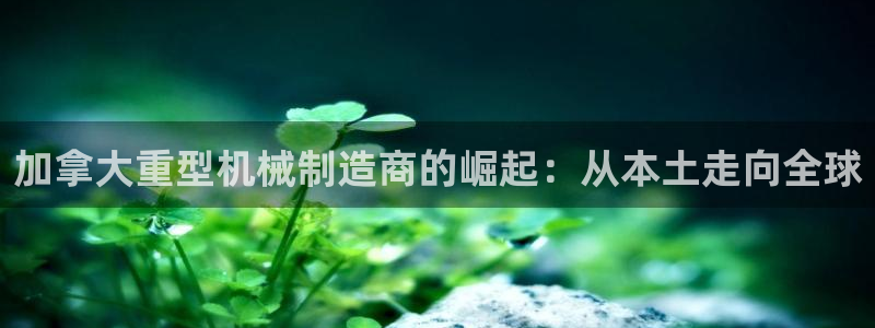 龍八國際打開頁面