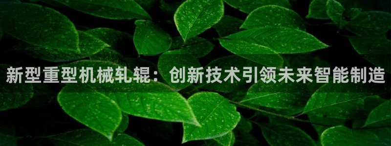 龍八國際網(wǎng)址