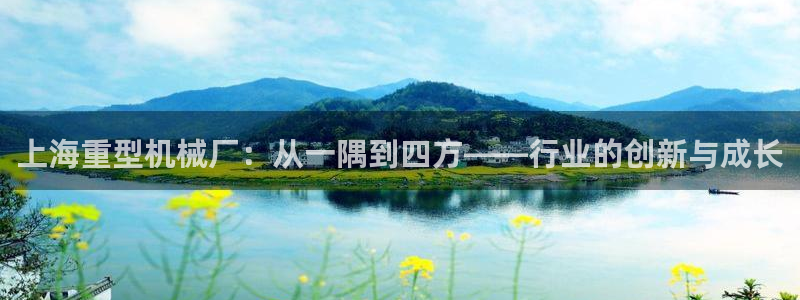 龍八國際官方旗艦店
