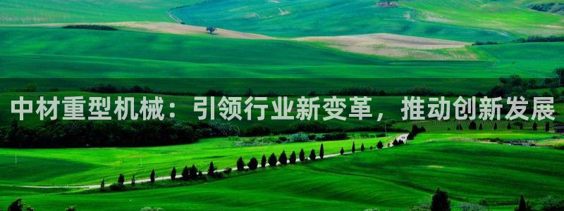 龍八國際黑錢
