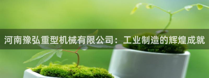龍八國際娛樂網(wǎng)站