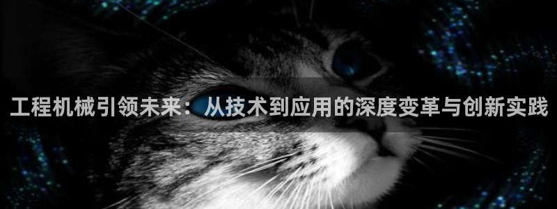 龍八國際官方網(wǎng)站