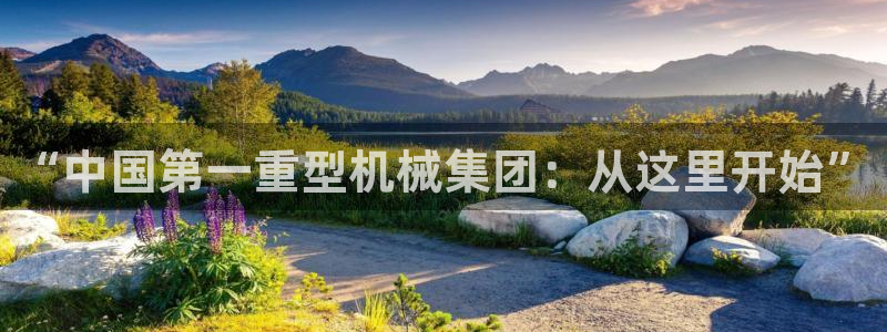 打開龍八國際